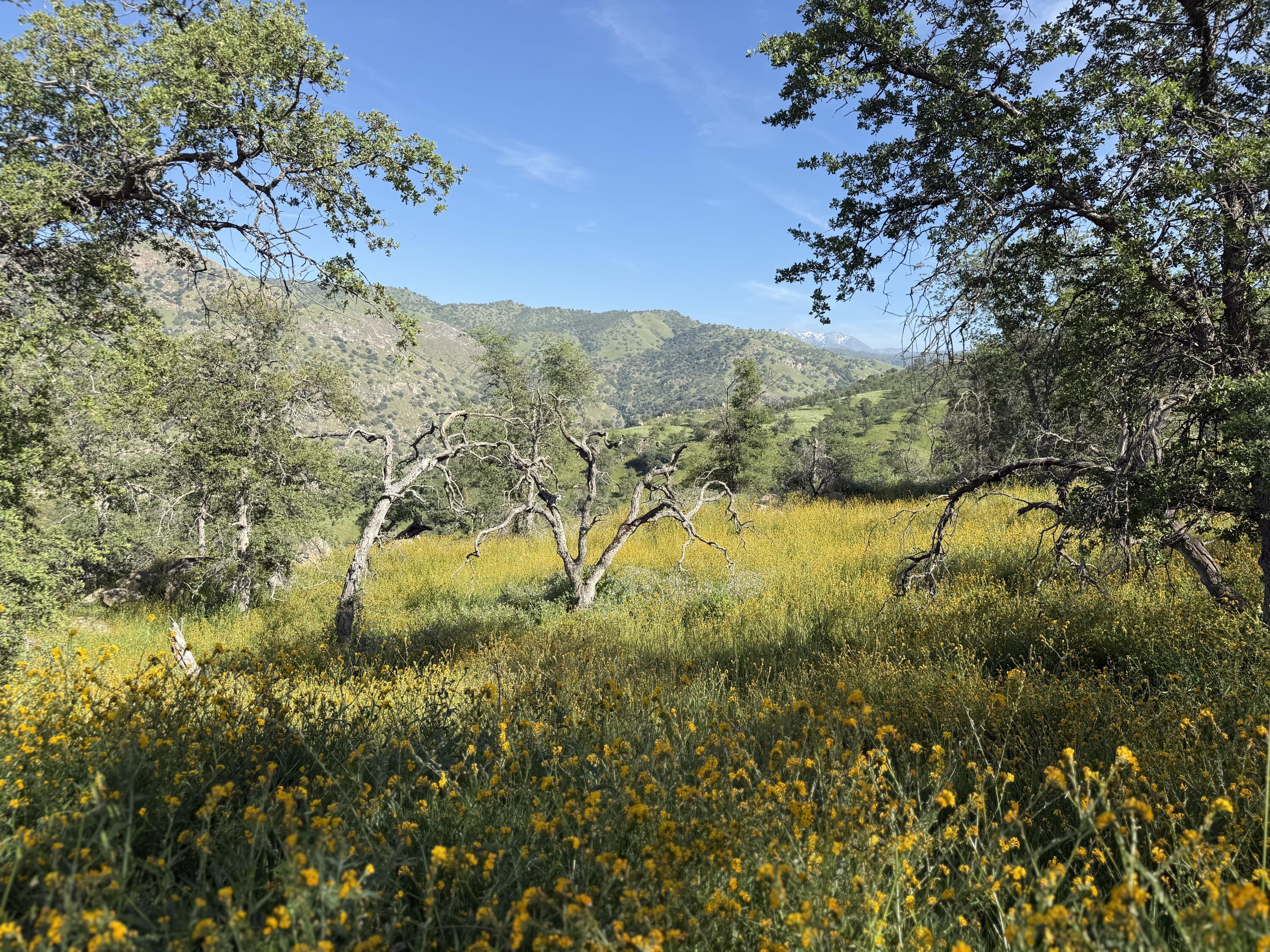 0 Sierra Dr, Three Rivers, CA 93271