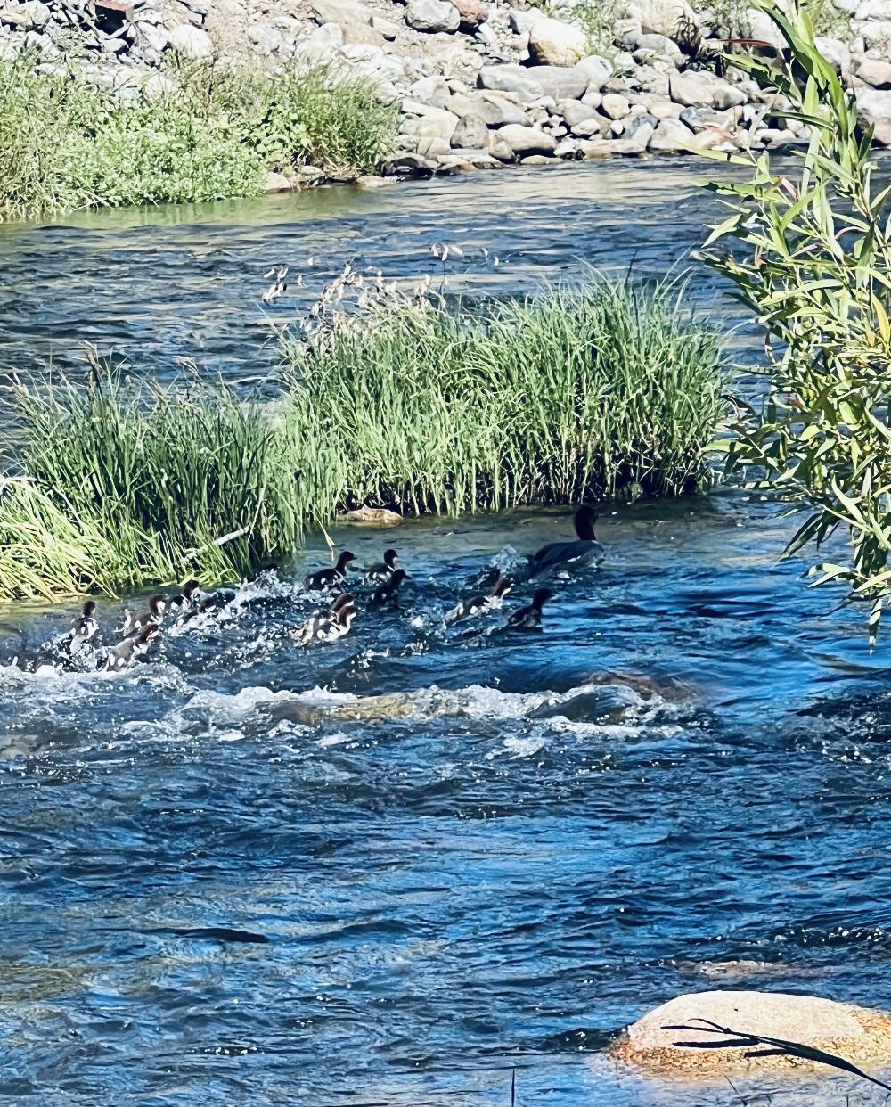 00 N Kaweah River Dr, Three Rivers, CA 93271