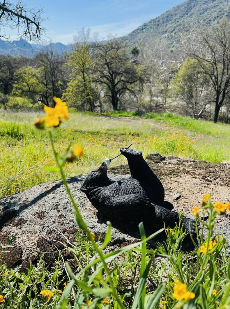 00 N Kaweah River Dr, Three Rivers, CA 93271