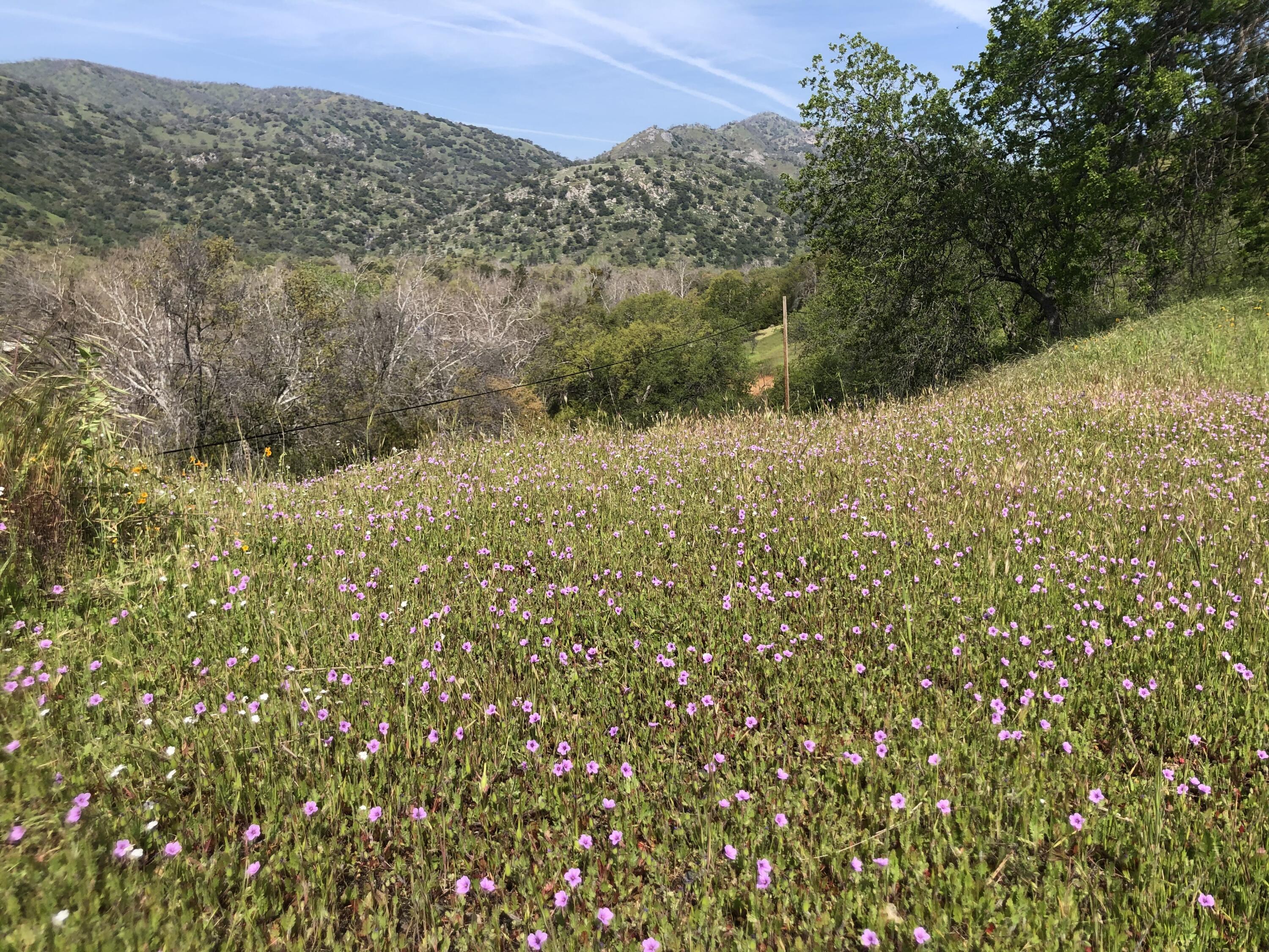 00 N Kaweah River Dr, Three Rivers, CA 93271