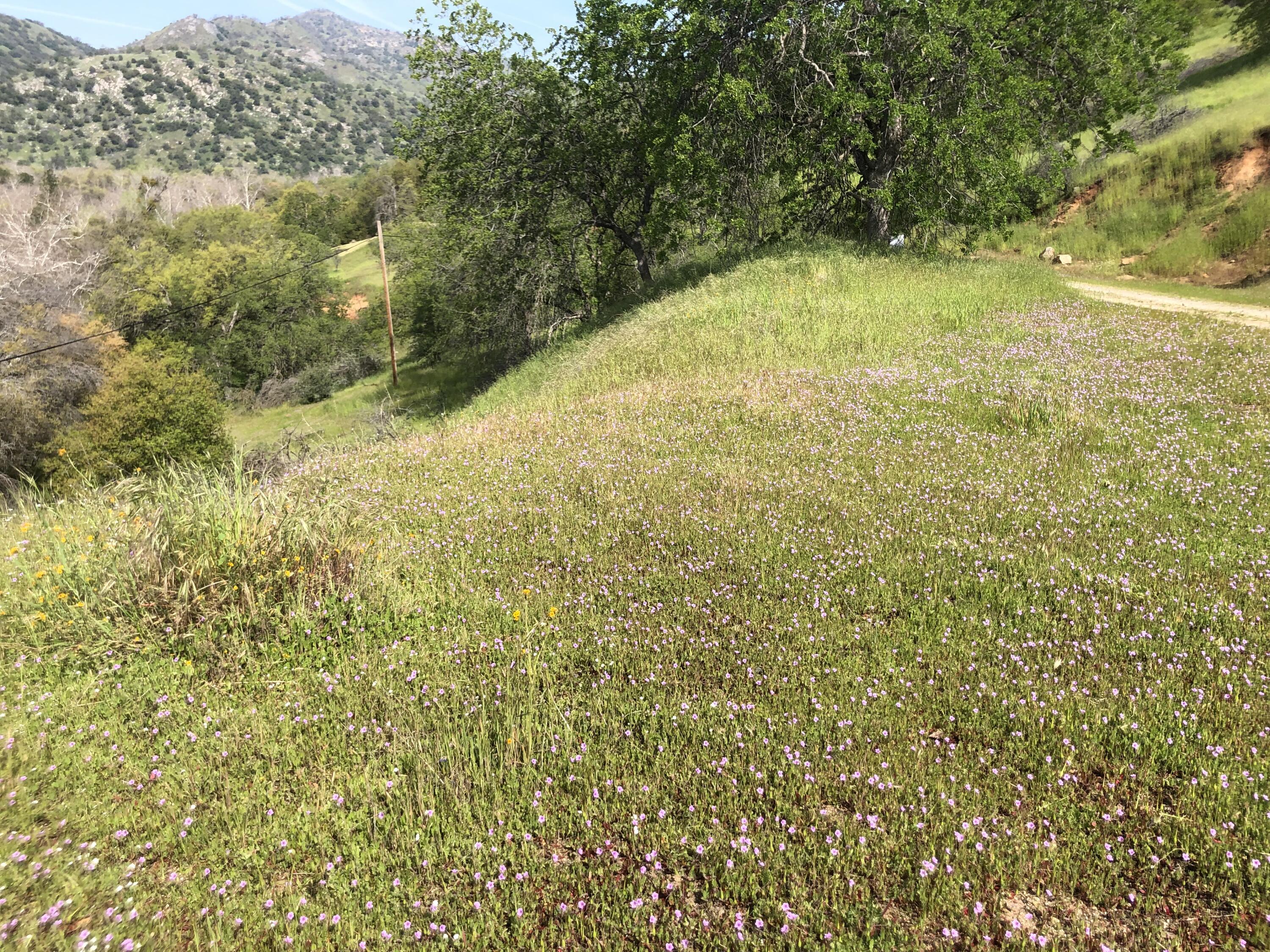 00 N Kaweah River Dr, Three Rivers, CA 93271