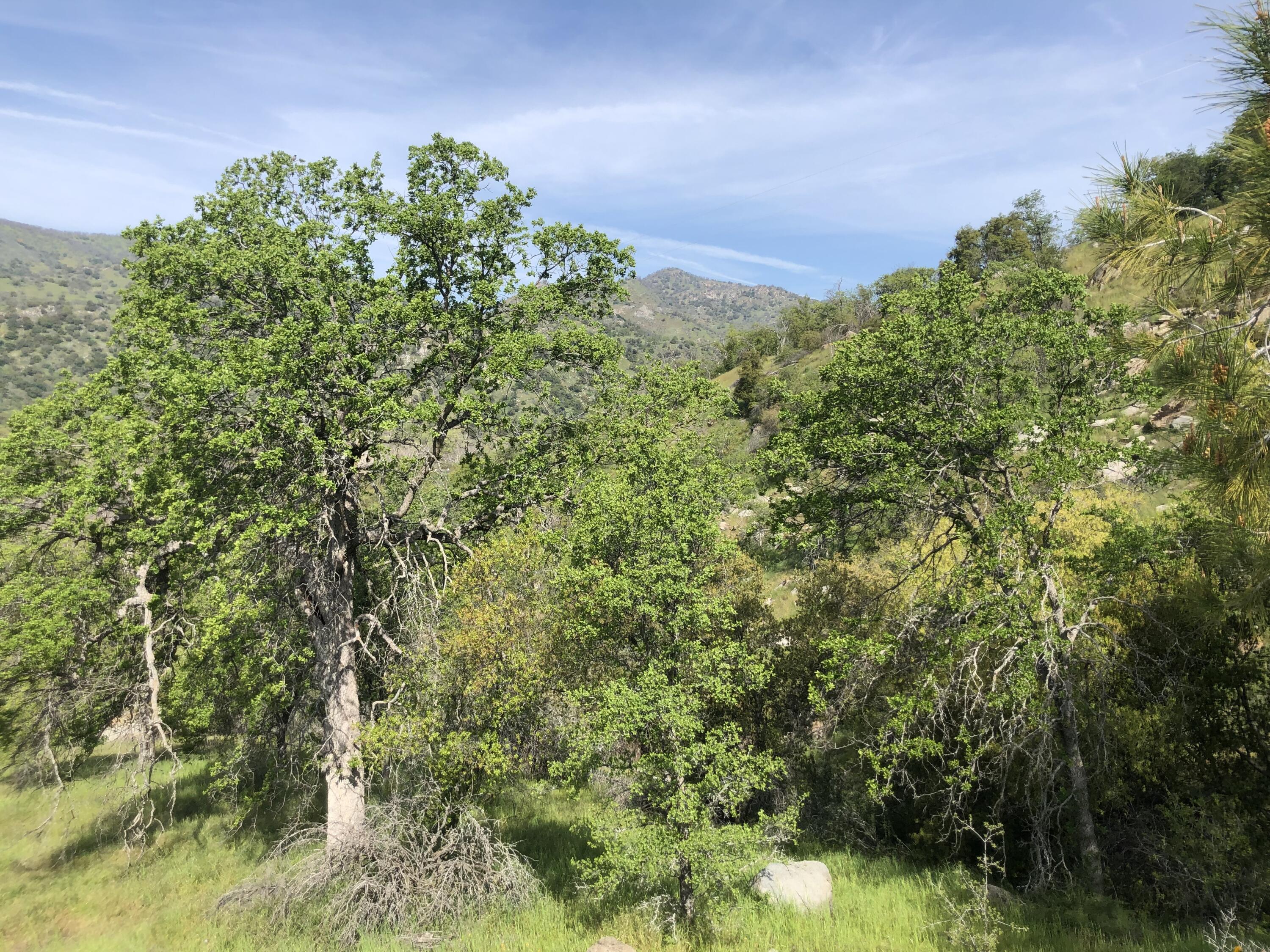 00 N Kaweah River Dr, Three Rivers, CA 93271