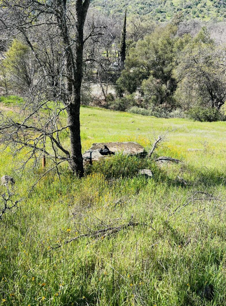 00 N Kaweah River Dr, Three Rivers, CA 93271