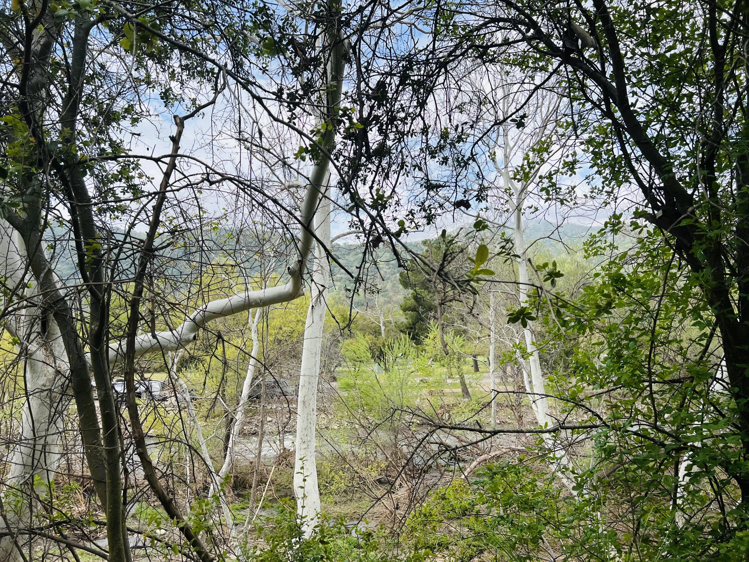 00 N Kaweah River Dr, Three Rivers, CA 93271