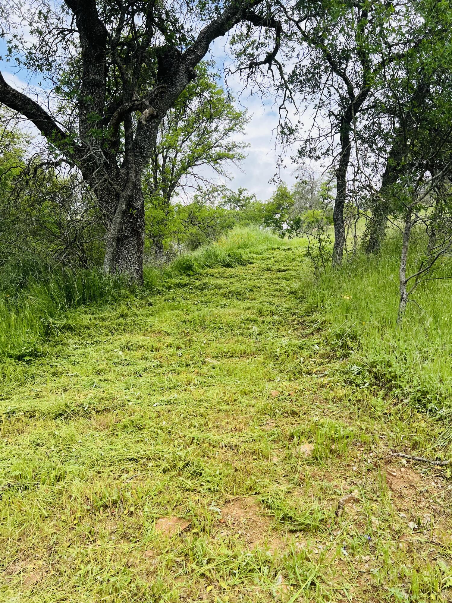 00 N Kaweah River Dr, Three Rivers, CA 93271