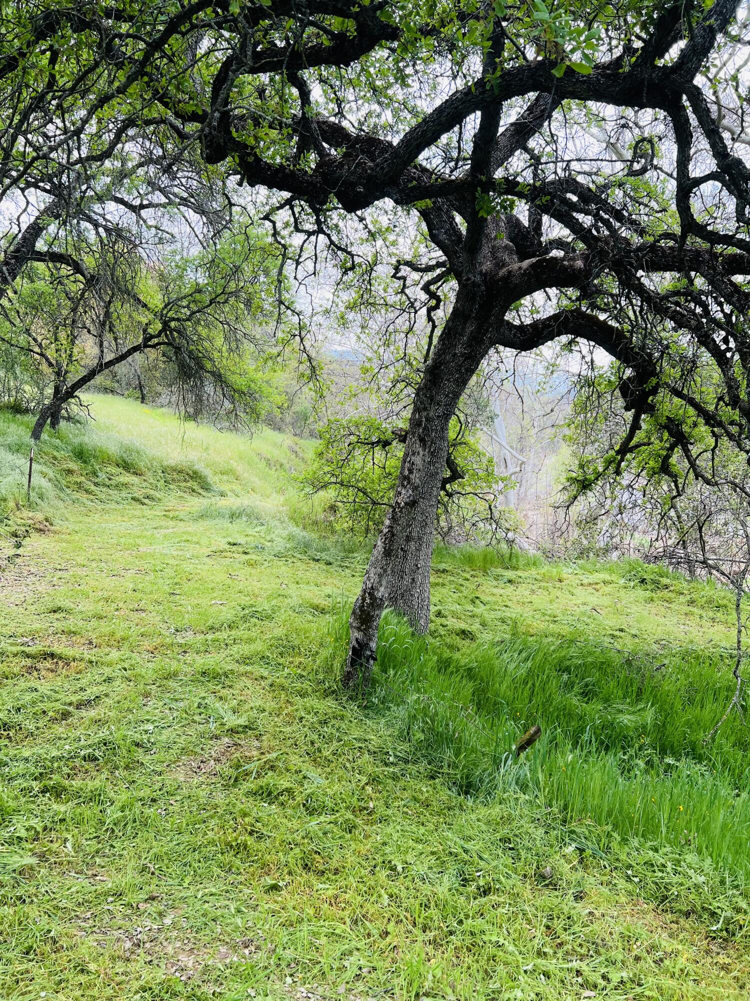 00 N Kaweah River Dr, Three Rivers, CA 93271