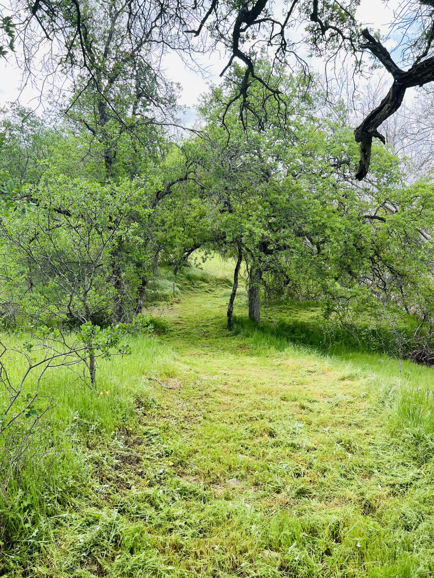 00 N Kaweah River Dr, Three Rivers, CA 93271