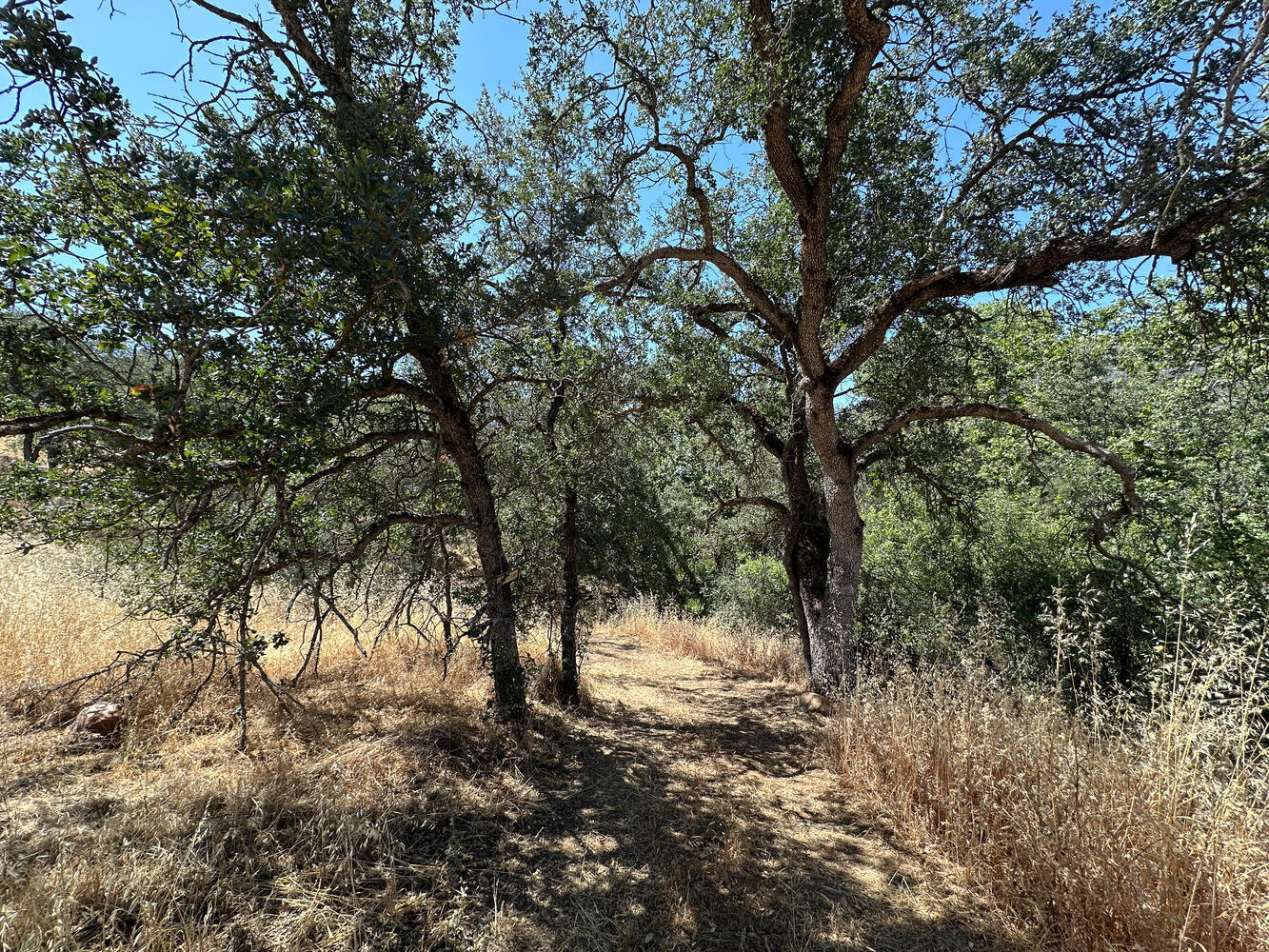 00 N Kaweah River Dr, Three Rivers, CA 93271