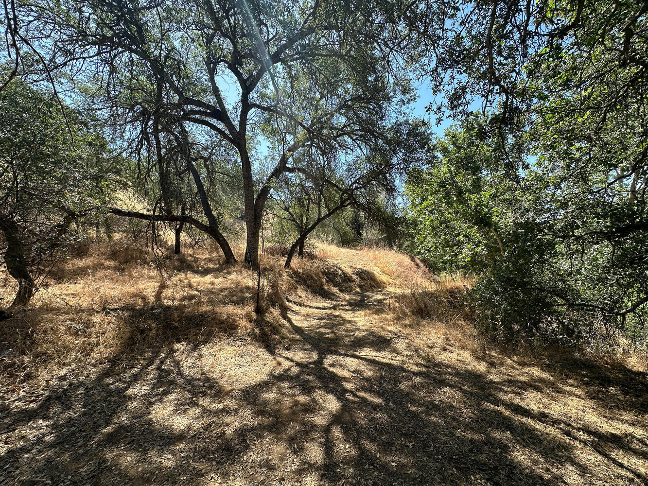 00 N Kaweah River Dr, Three Rivers, CA 93271