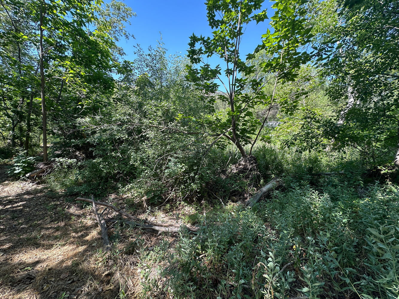 00 N Kaweah River Dr, Three Rivers, CA 93271