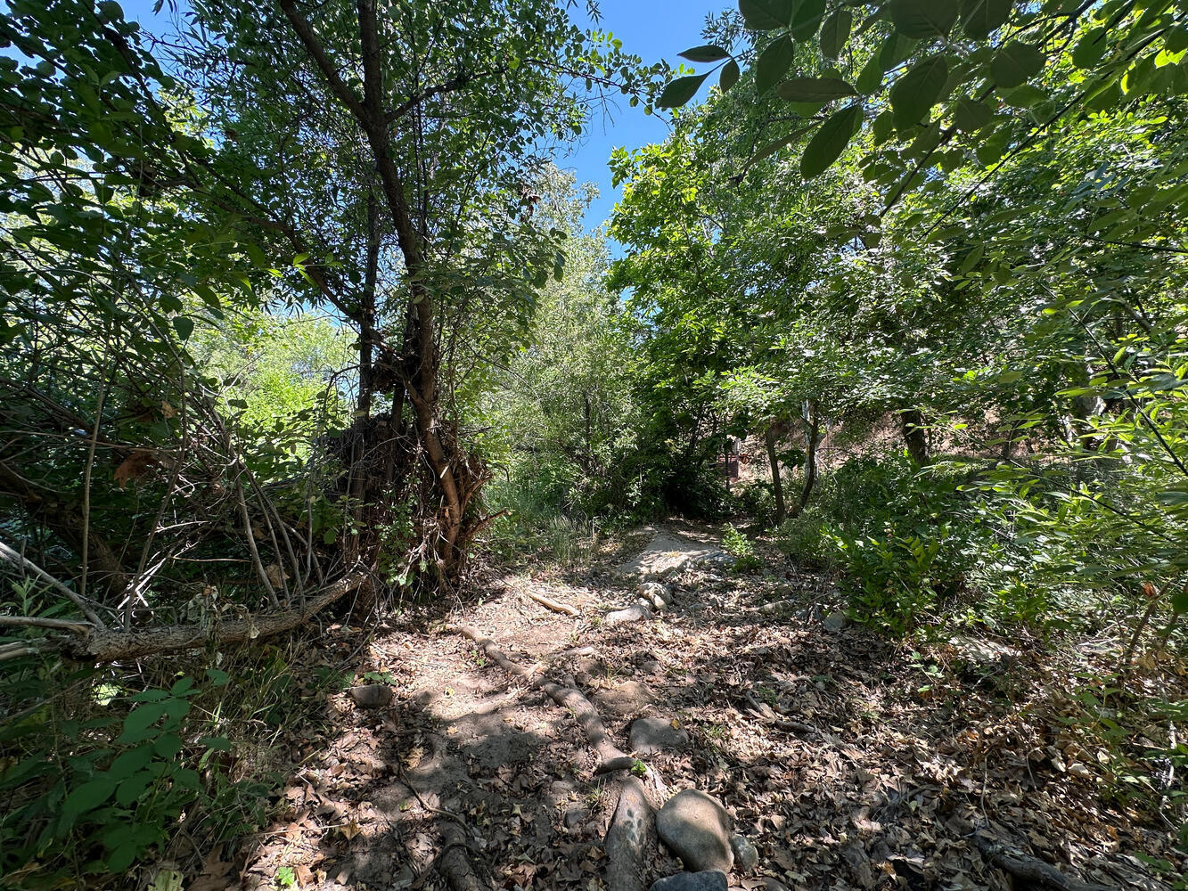 00 N Kaweah River Dr, Three Rivers, CA 93271