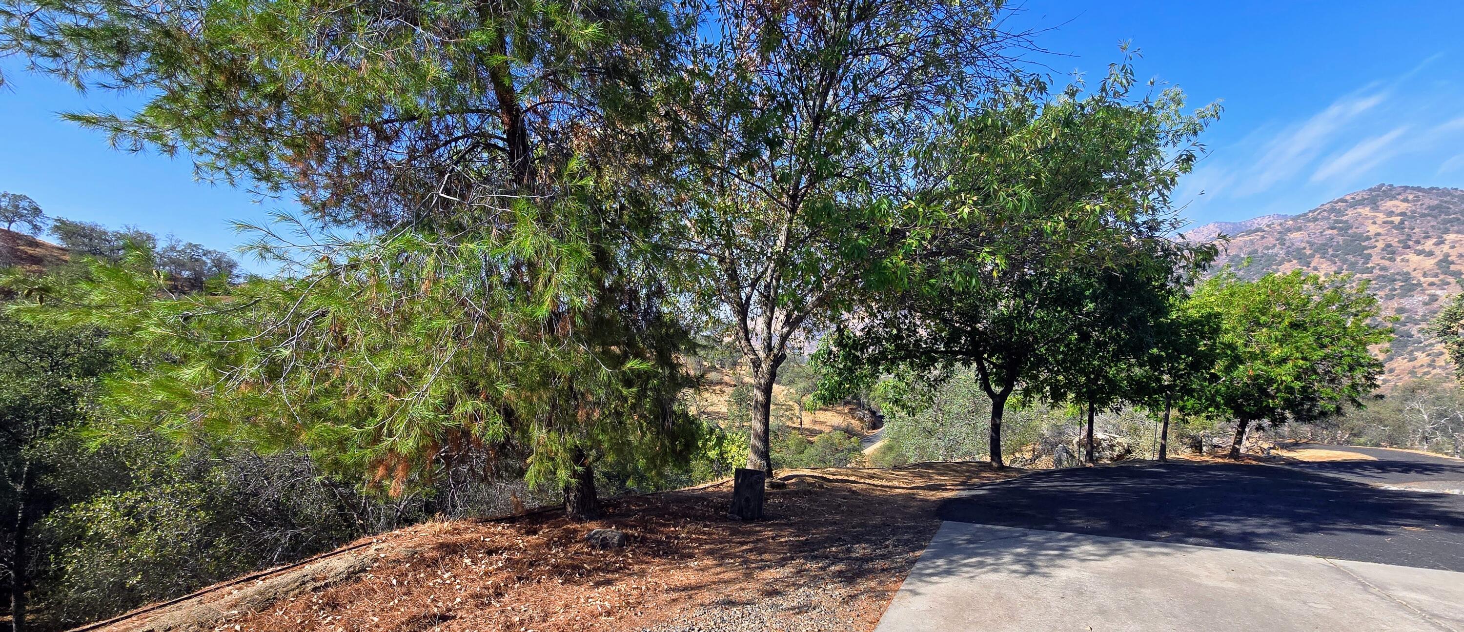 41299 E Mynatt Dr, Three Rivers, CA 93271