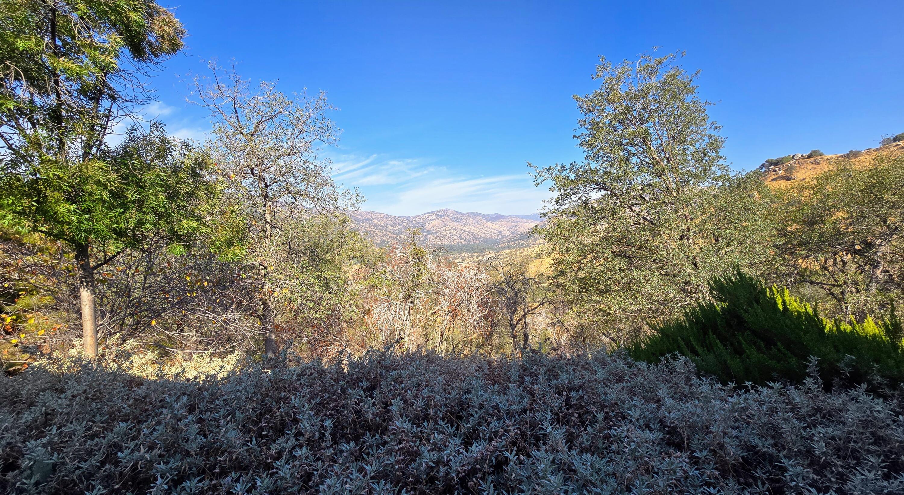 41299 E Mynatt Dr, Three Rivers, CA 93271