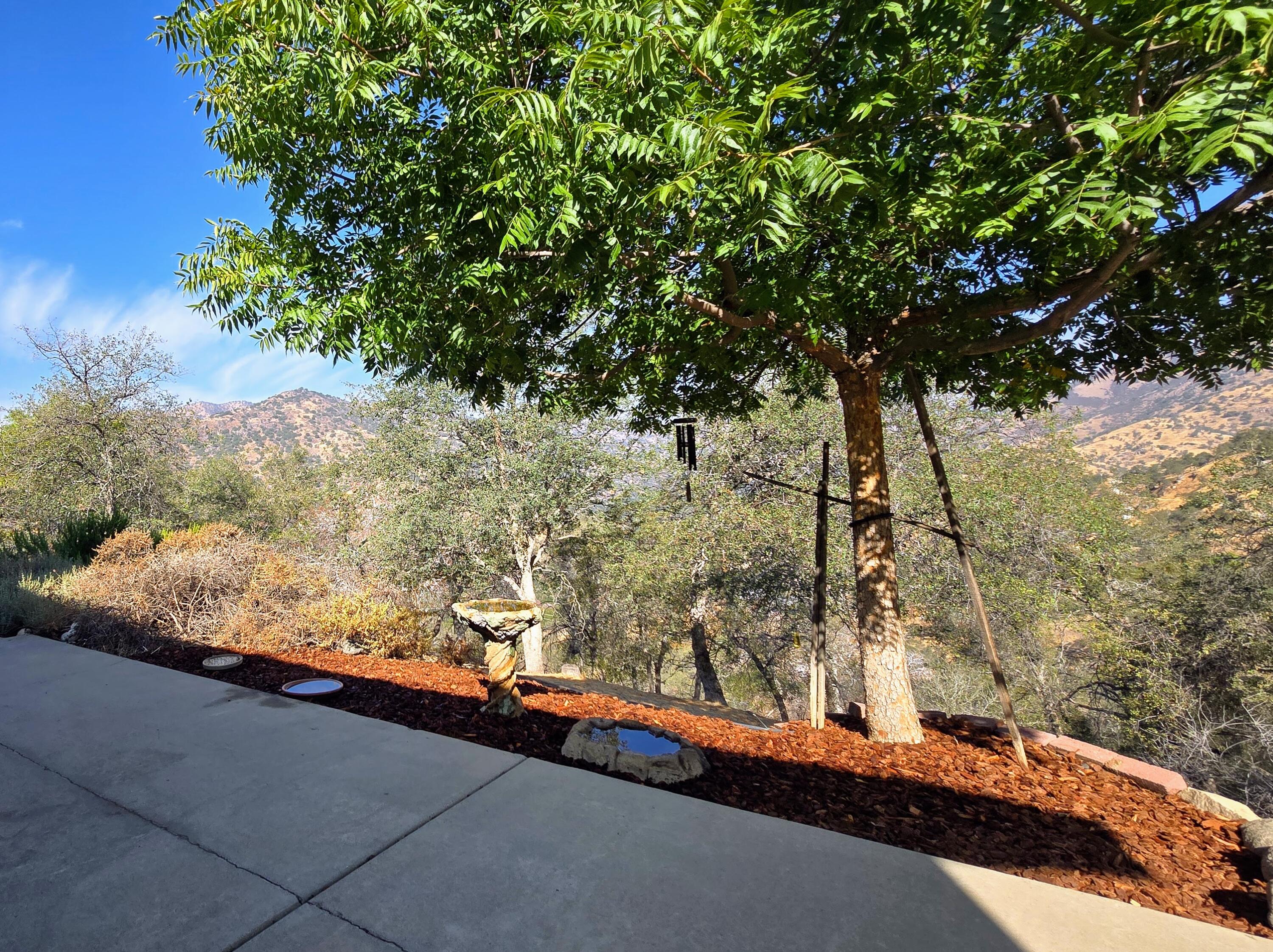 41299 E Mynatt Dr, Three Rivers, CA 93271