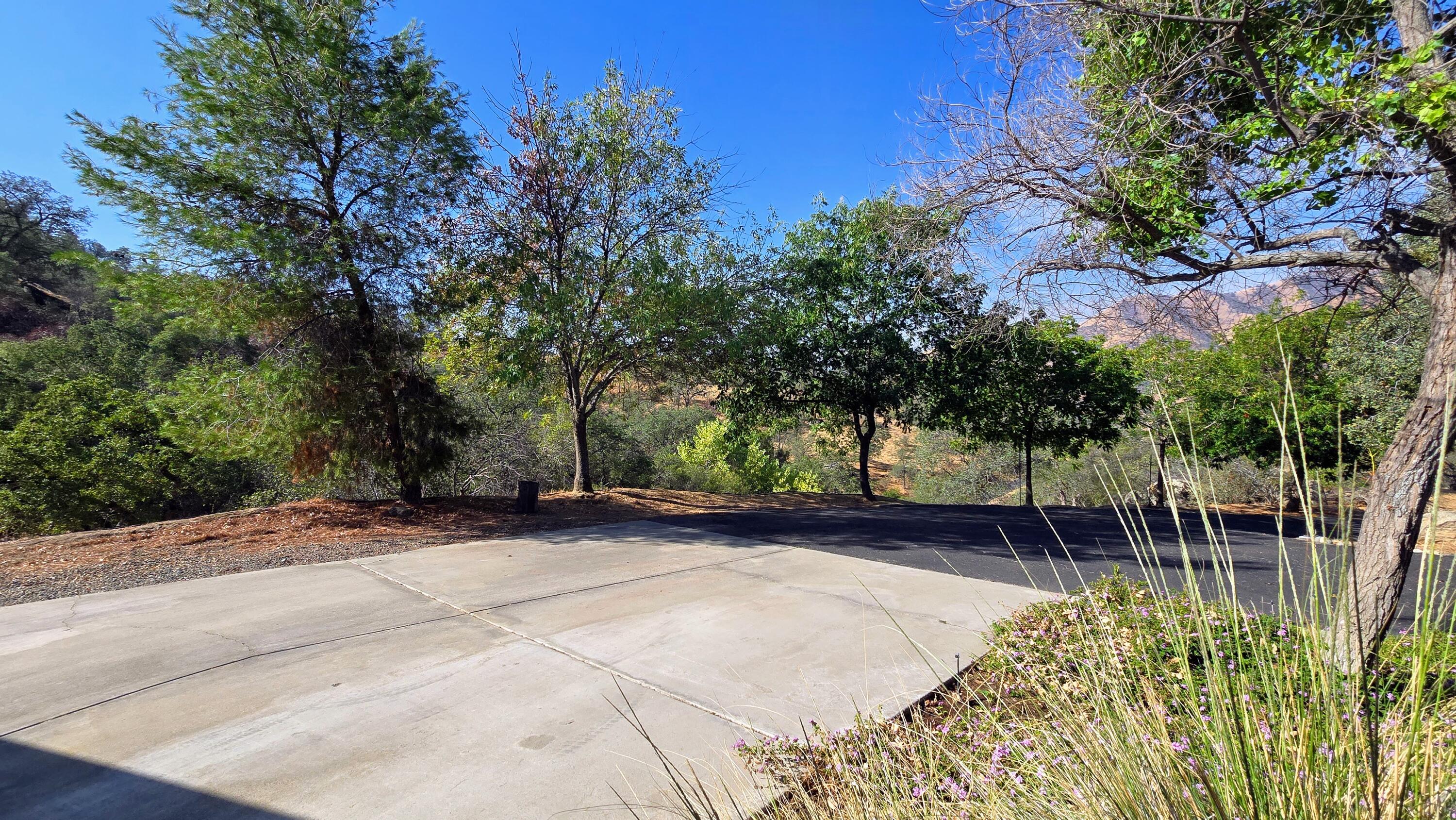 41299 E Mynatt Dr, Three Rivers, CA 93271