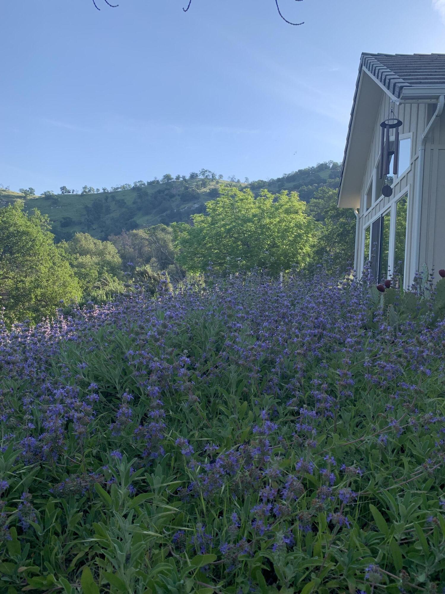 41299 E Mynatt Dr, Three Rivers, CA 93271