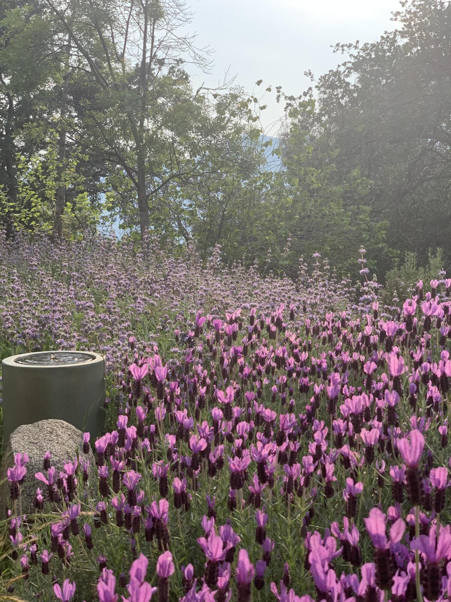 41299 E Mynatt Dr, Three Rivers, CA 93271