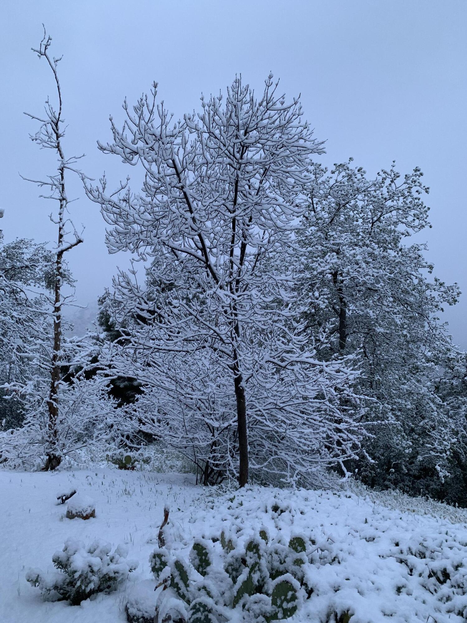 41299 E Mynatt Dr, Three Rivers, CA 93271