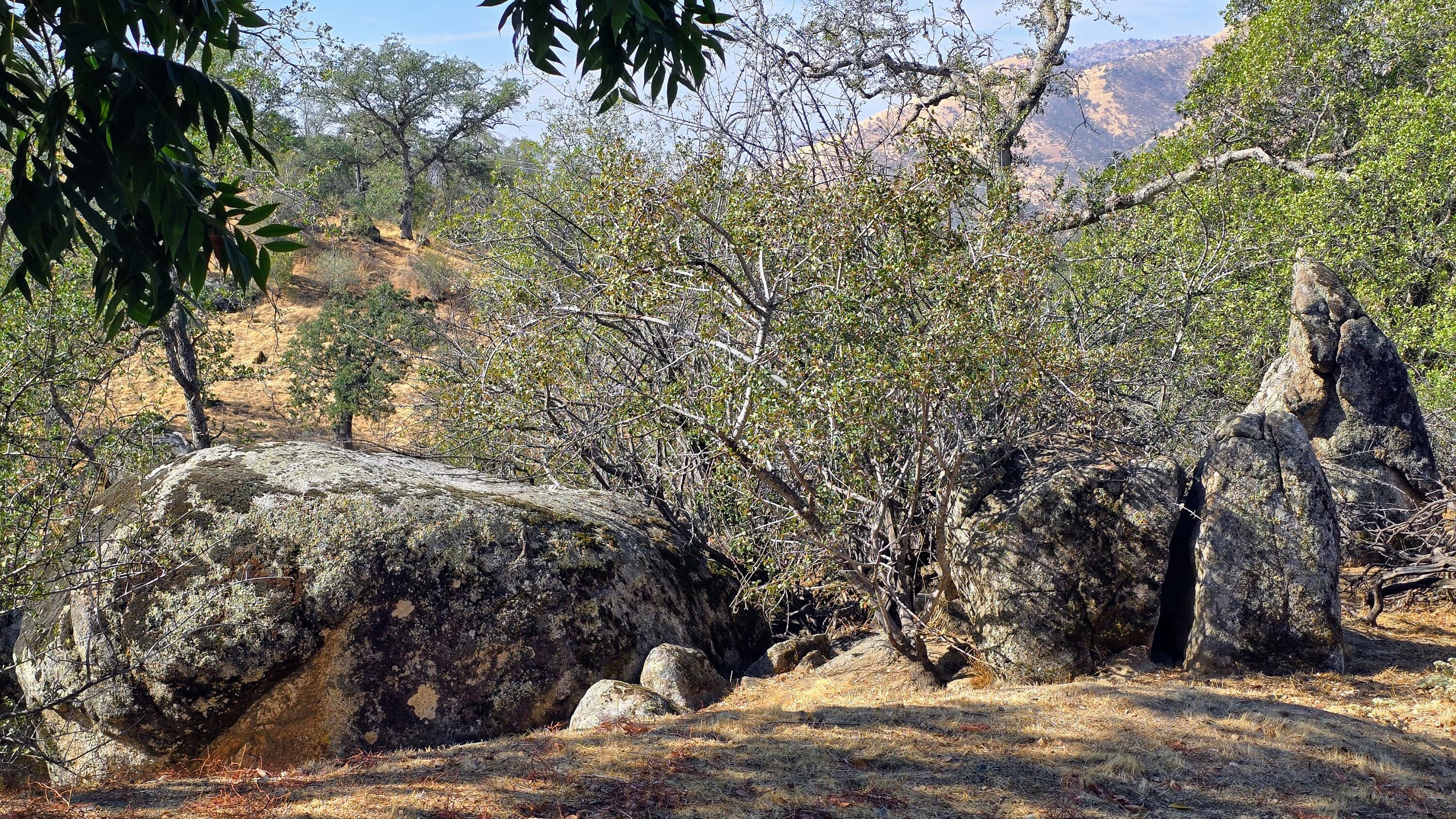 41299 E Mynatt Dr, Three Rivers, CA 93271