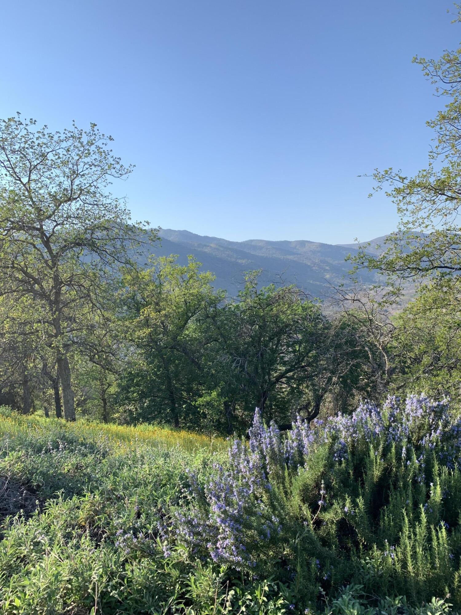 41299 E Mynatt Dr, Three Rivers, CA 93271