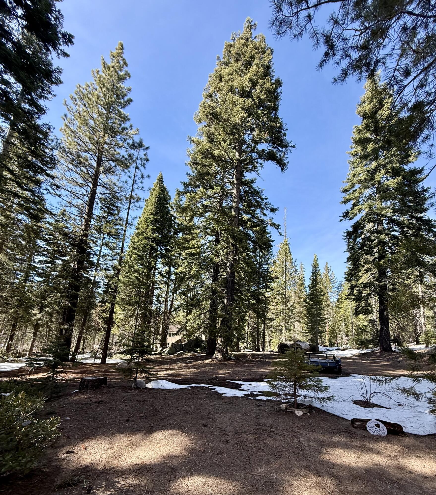 57968 Fox Dr, Springville, CA 93265