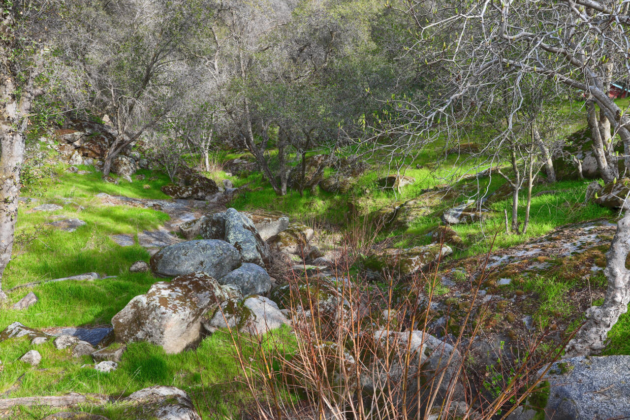 44755 Savage Rd, Coarsegold, CA 93614