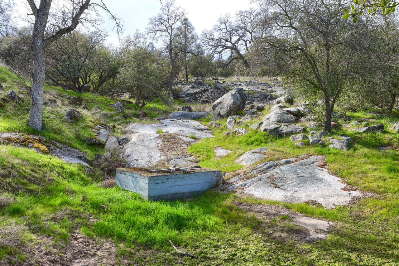 44755 Savage Rd, Coarsegold, CA 93614