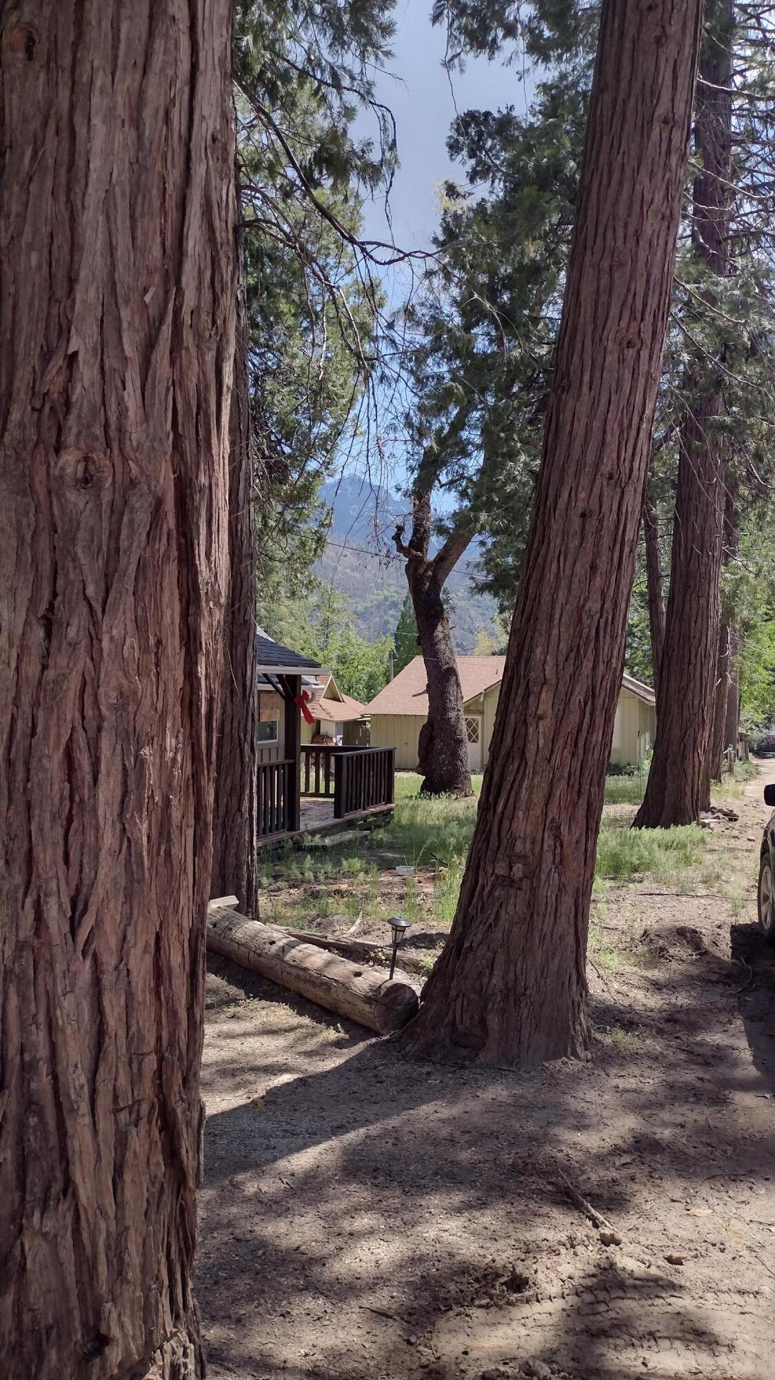 440 Trails End Dr, Camp Nelson, CA 93265