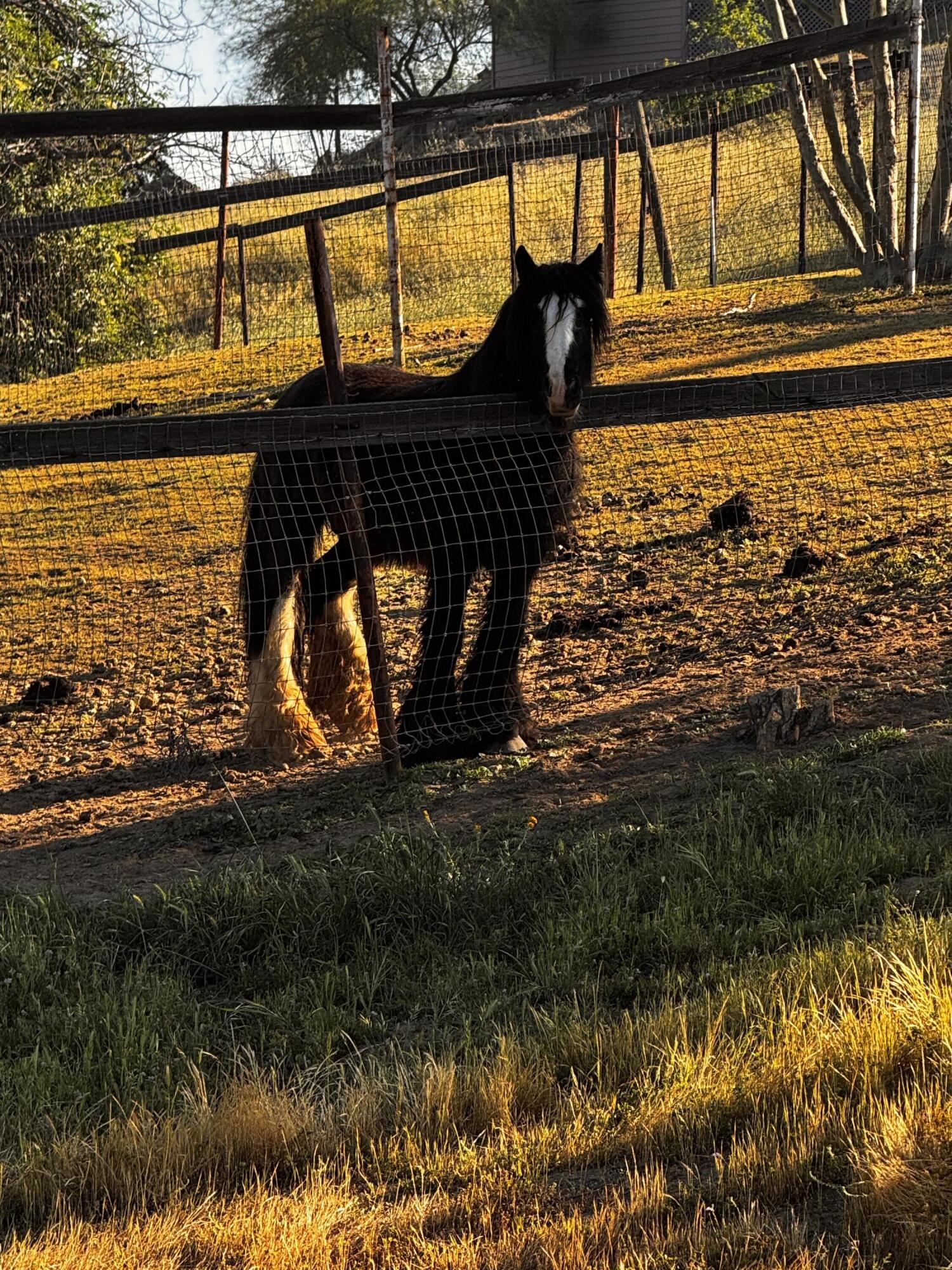 30723 Hamilton Dr, Exeter, CA 93221