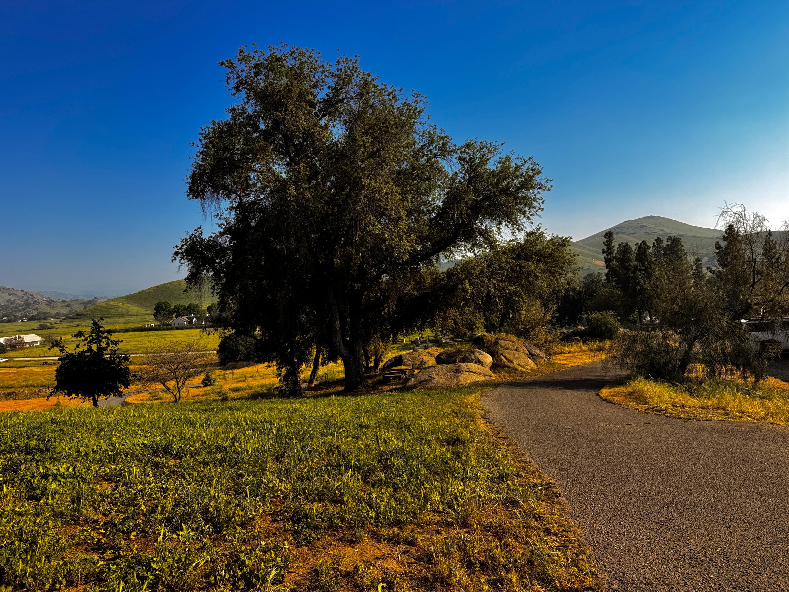 30723 Hamilton Dr, Exeter, CA 93221