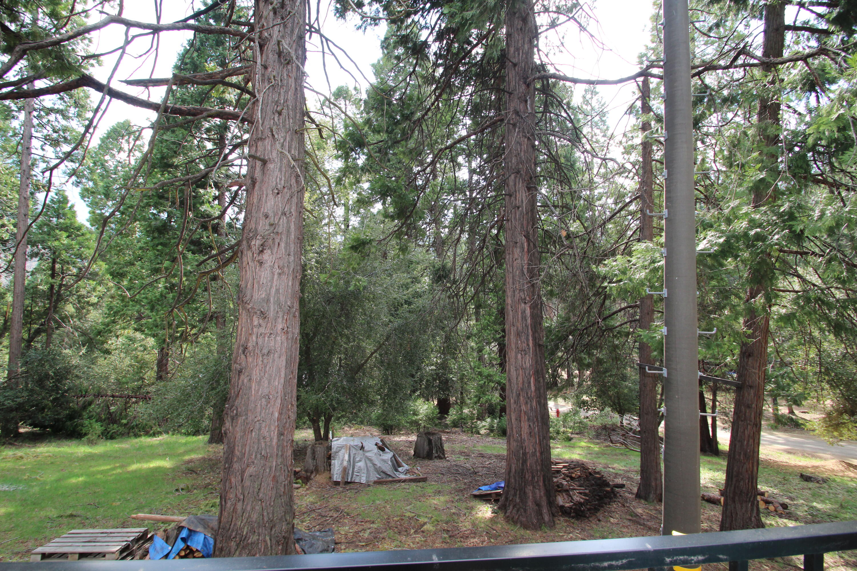 1771 James Dr, Springville, CA 93265