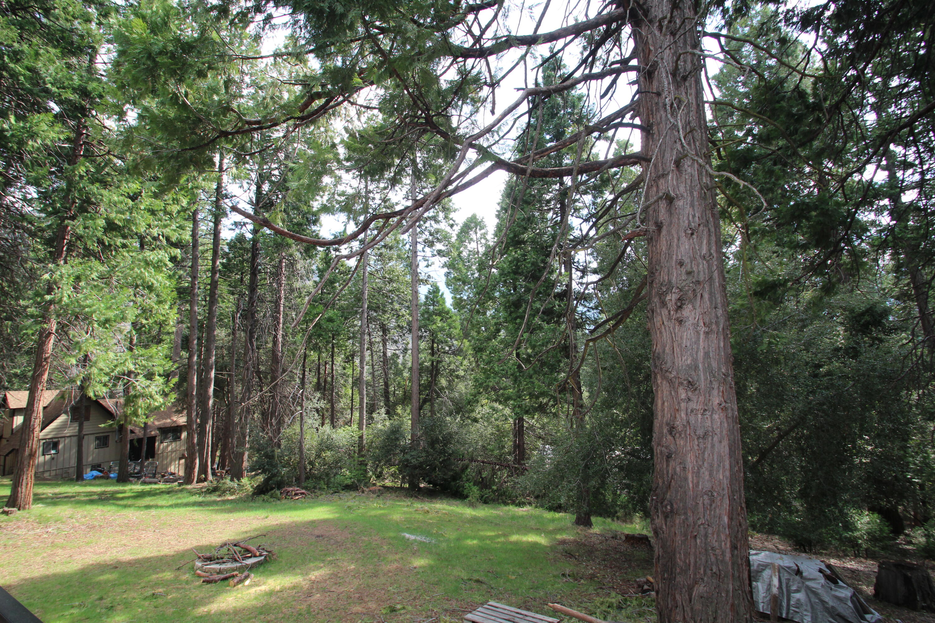 1771 James Dr, Springville, CA 93265