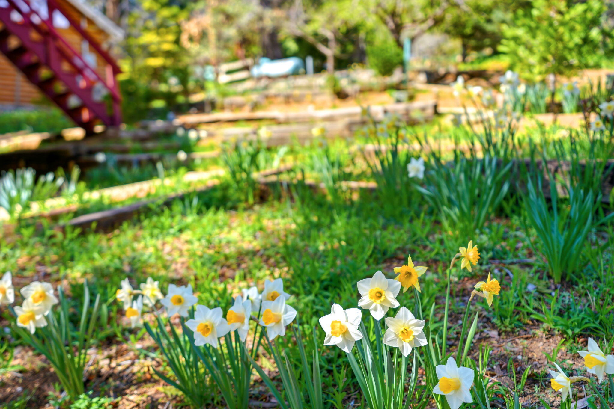 697 Loop Dr, Springville, CA 93265