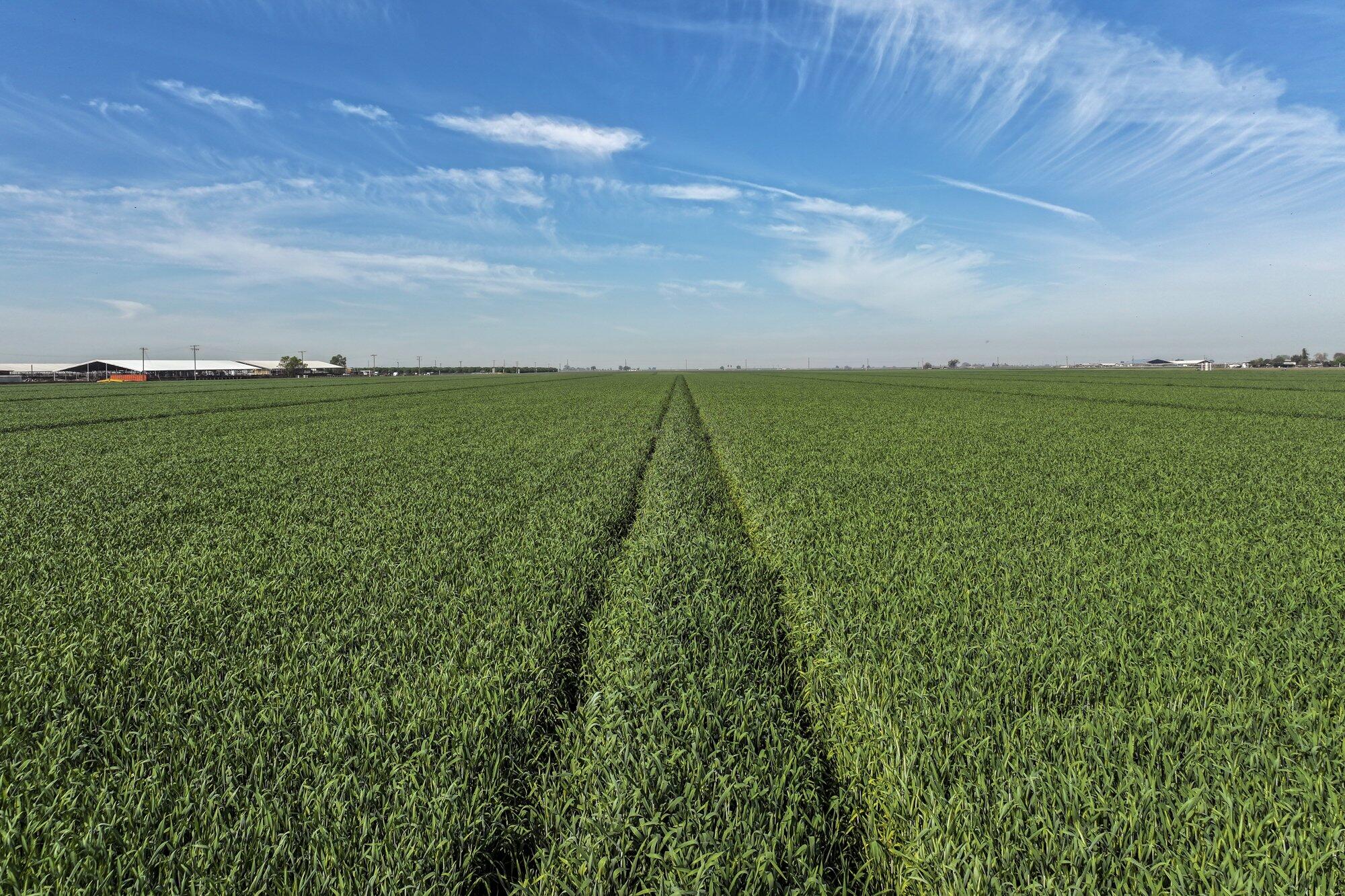 7550 Avenue 208, Tulare, CA 93274