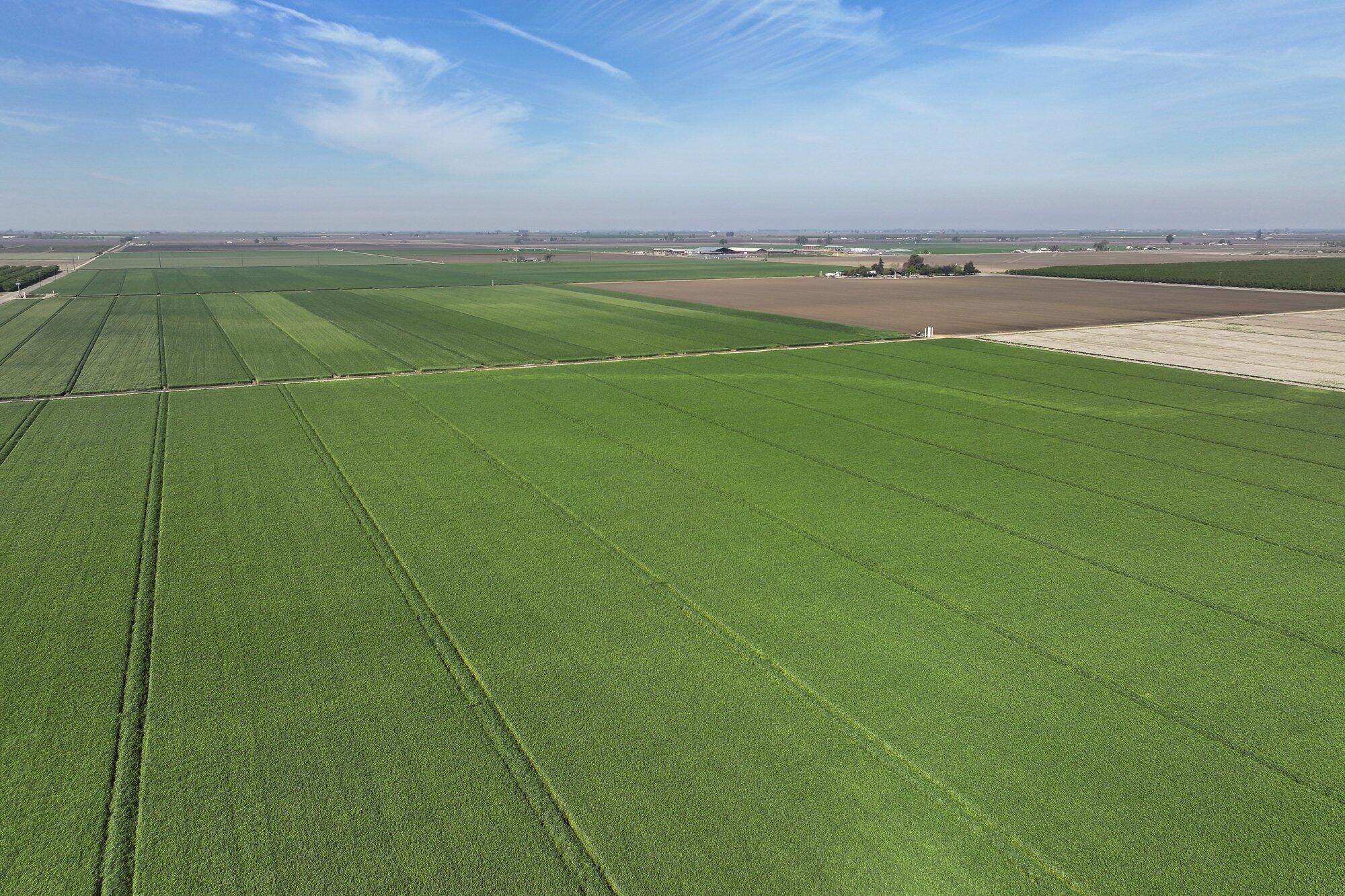 7550 Avenue 208, Tulare, CA 93274