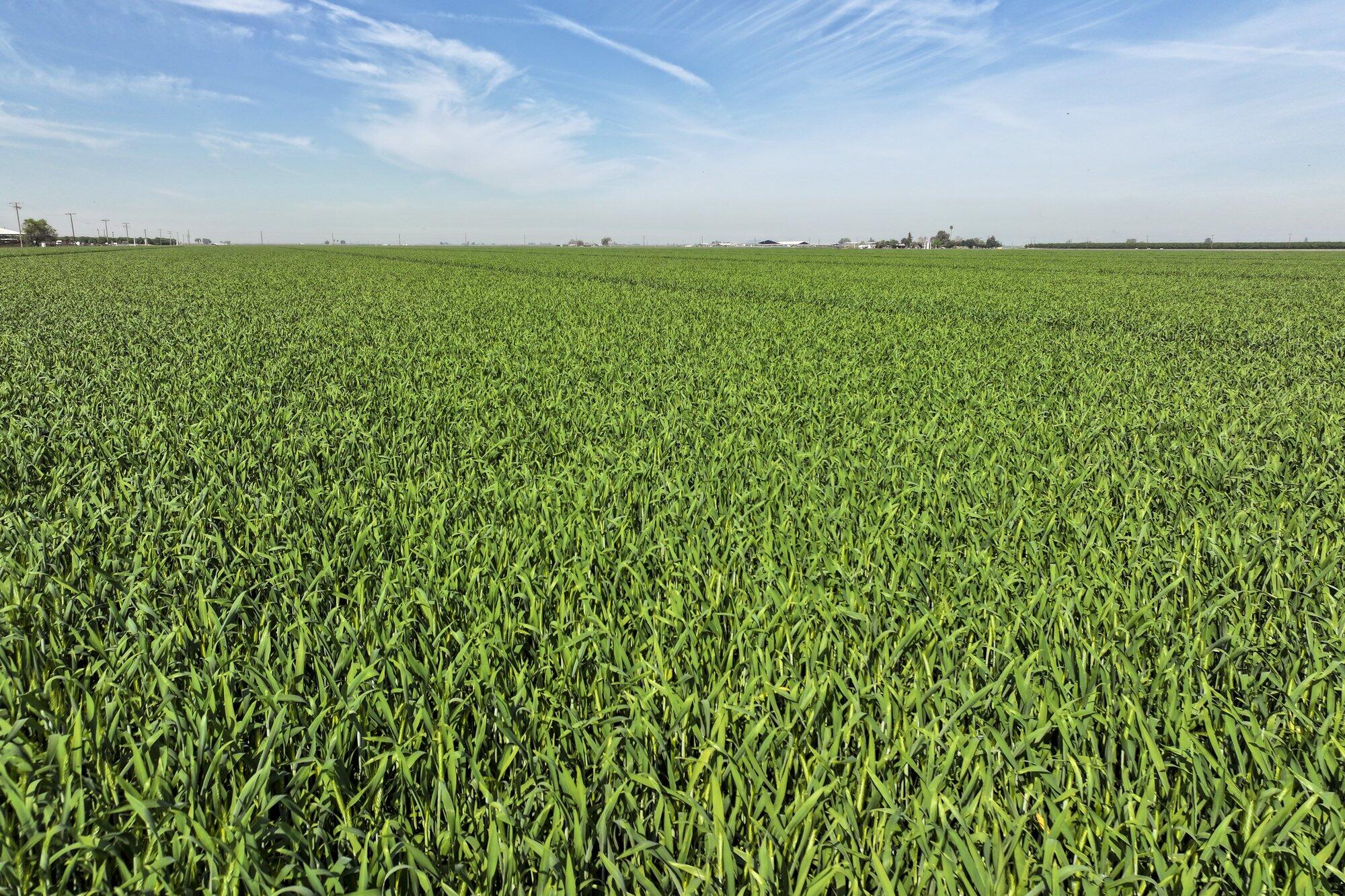 7550 Avenue 208, Tulare, CA 93274