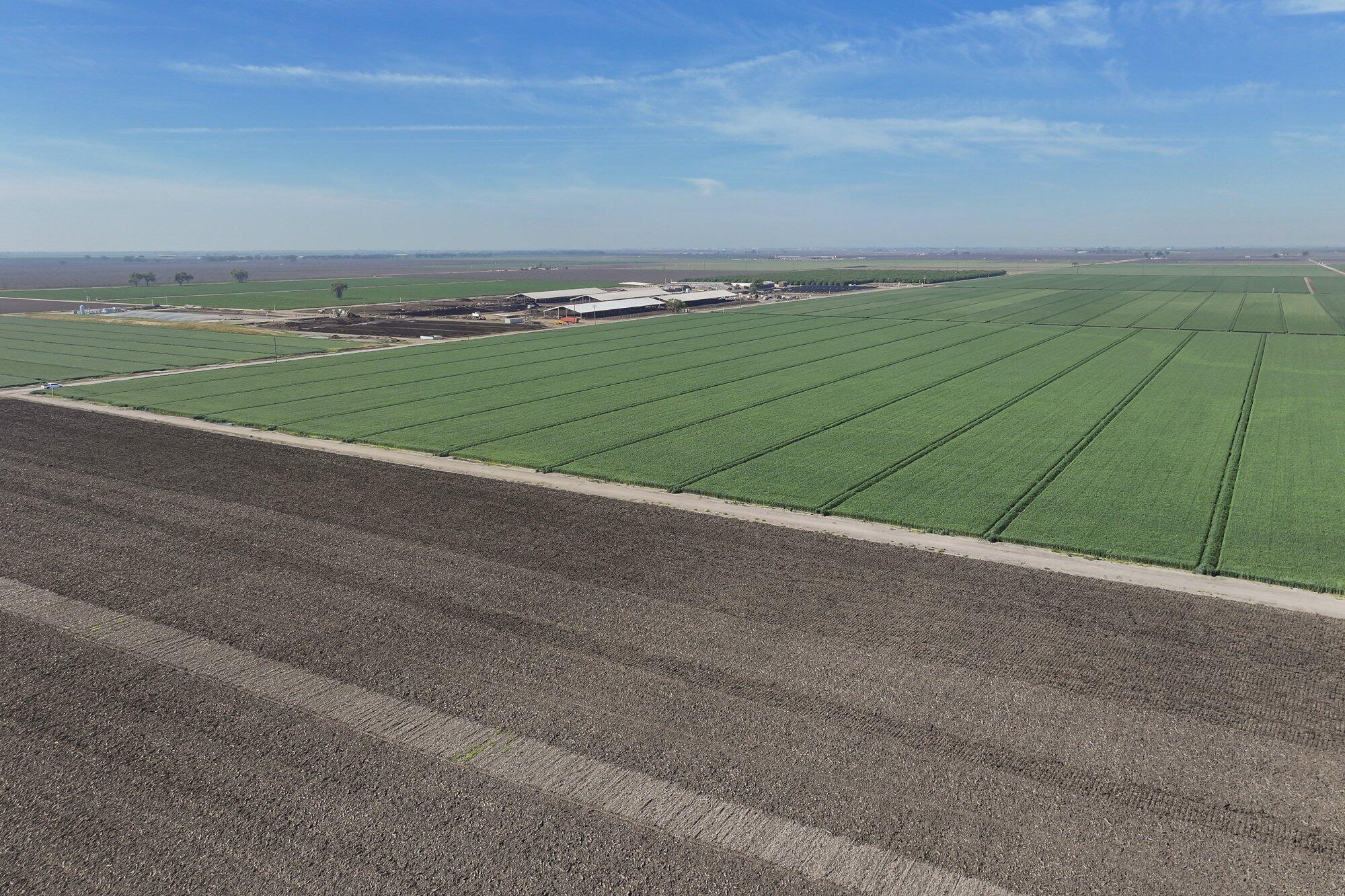 7550 Avenue 208, Tulare, CA 93274