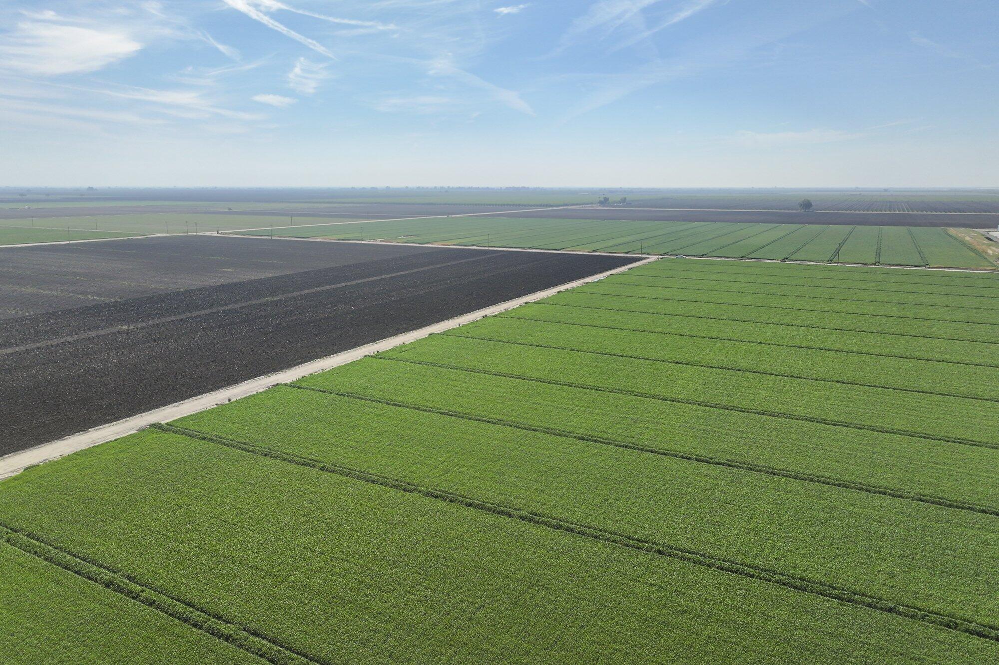 7550 Avenue 208, Tulare, CA 93274