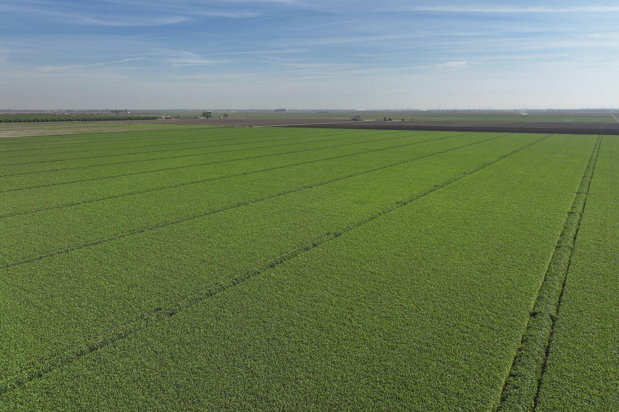 7550 Avenue 208, Tulare, CA 93274