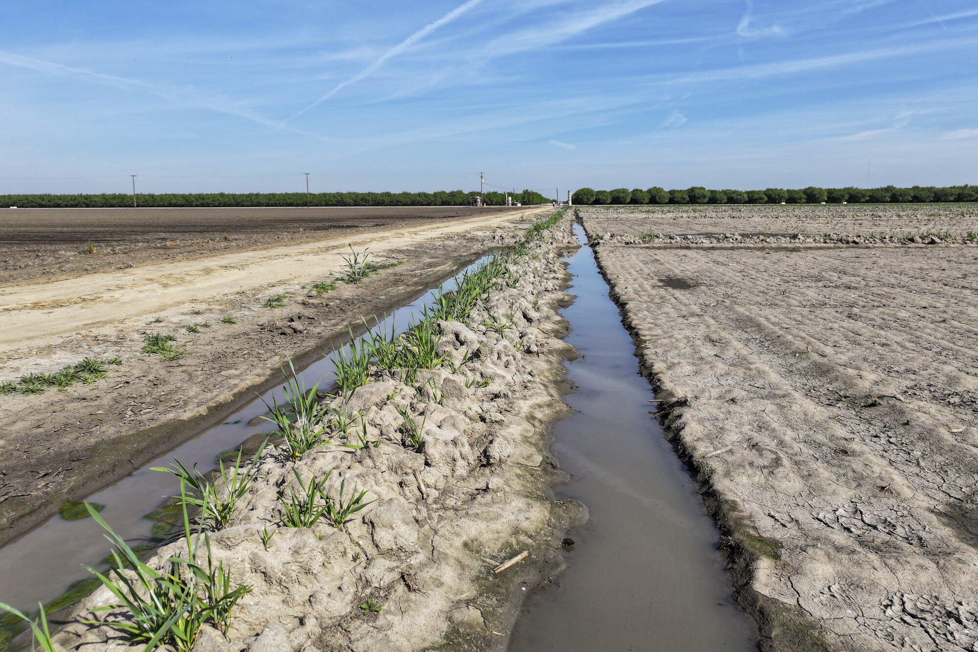 7550 Avenue 208, Tulare, CA 93274