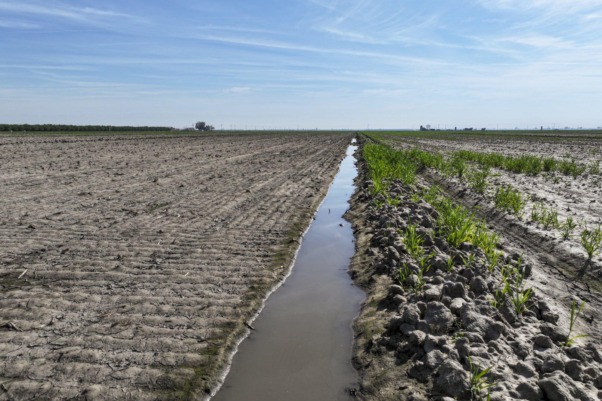 7550 Avenue 208, Tulare, CA 93274