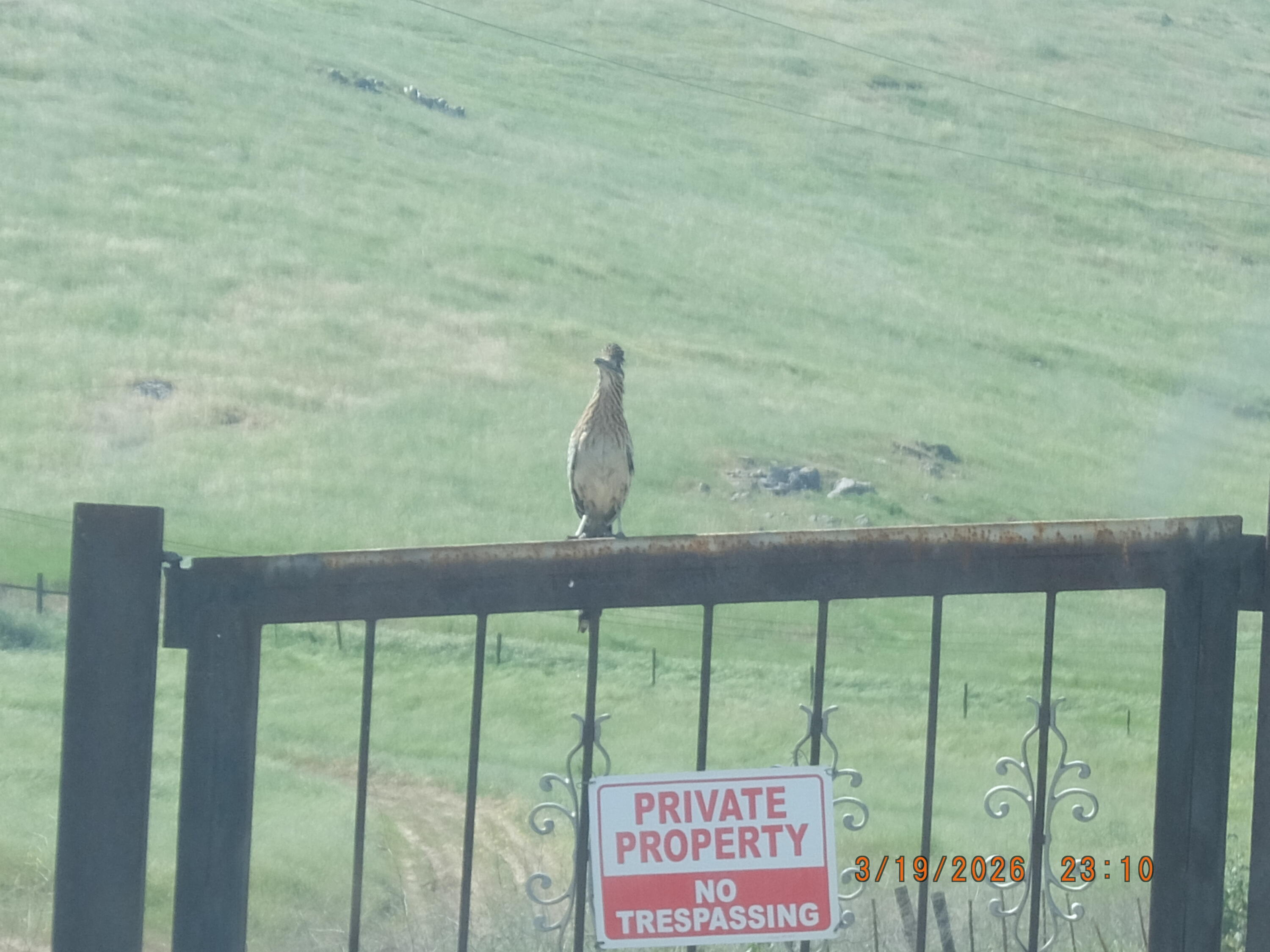 28800 Worth Dr, Porterville, CA 93257