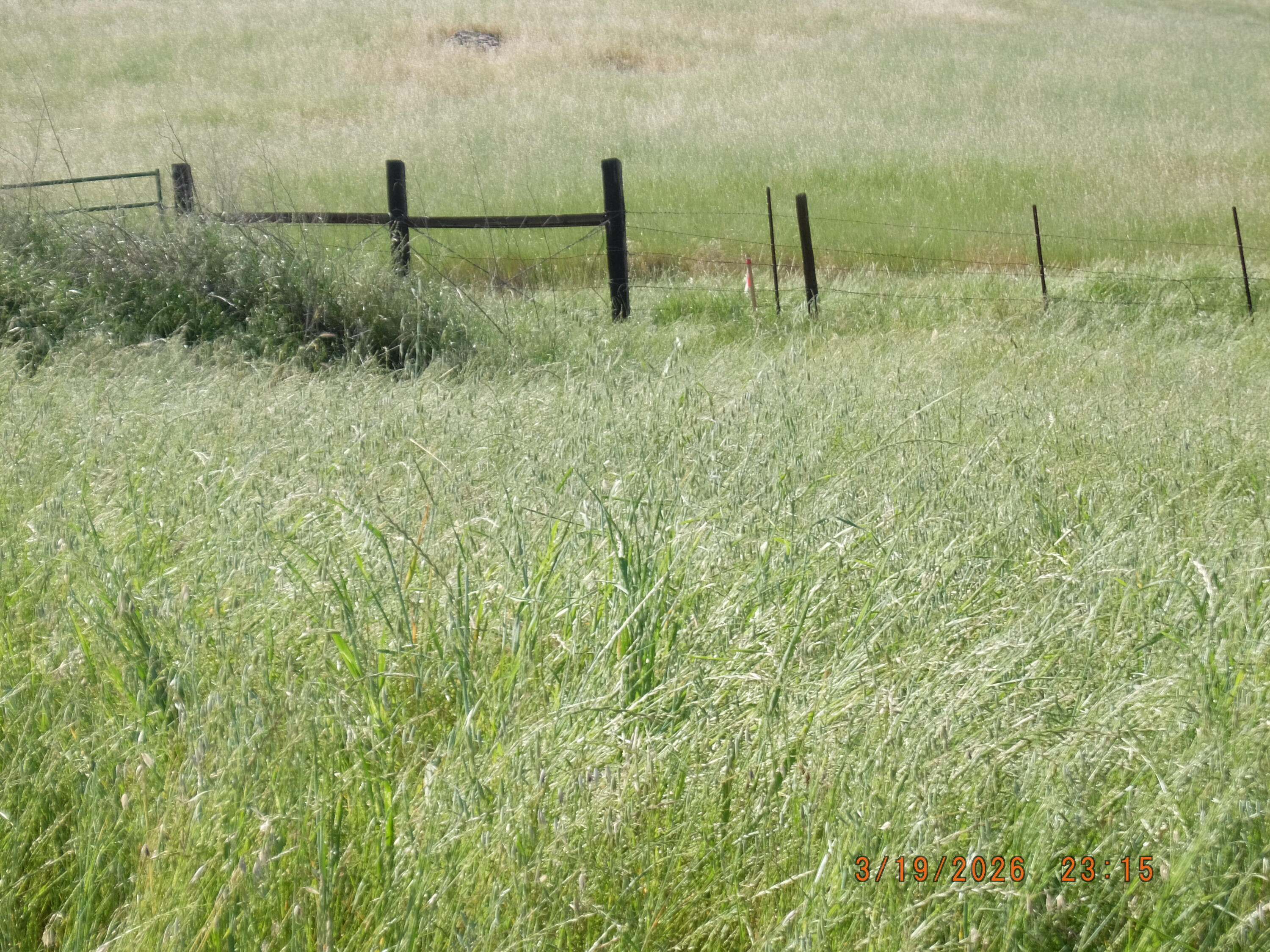 28800 Worth Dr, Porterville, CA 93257