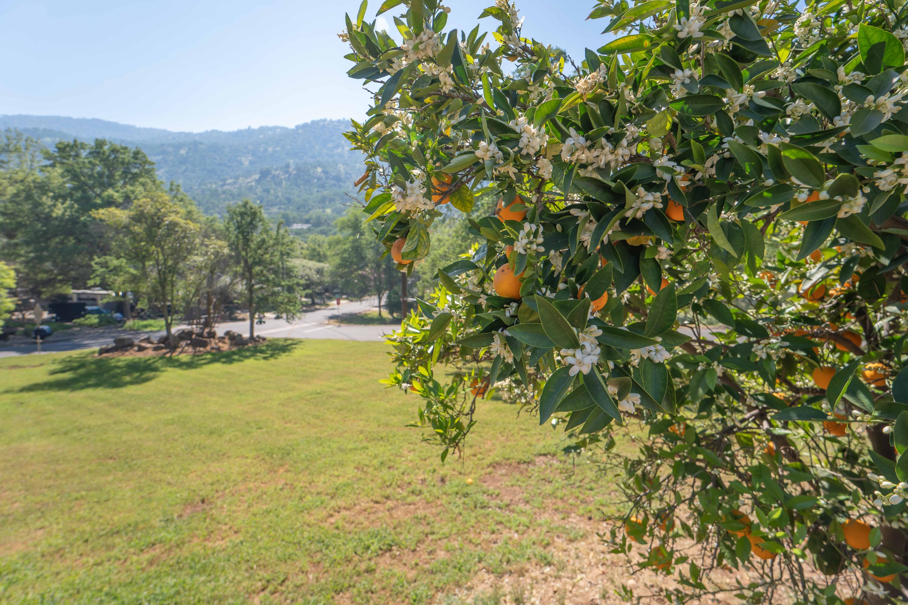 40962 Oakridge Dr, Three Rivers, CA 93271