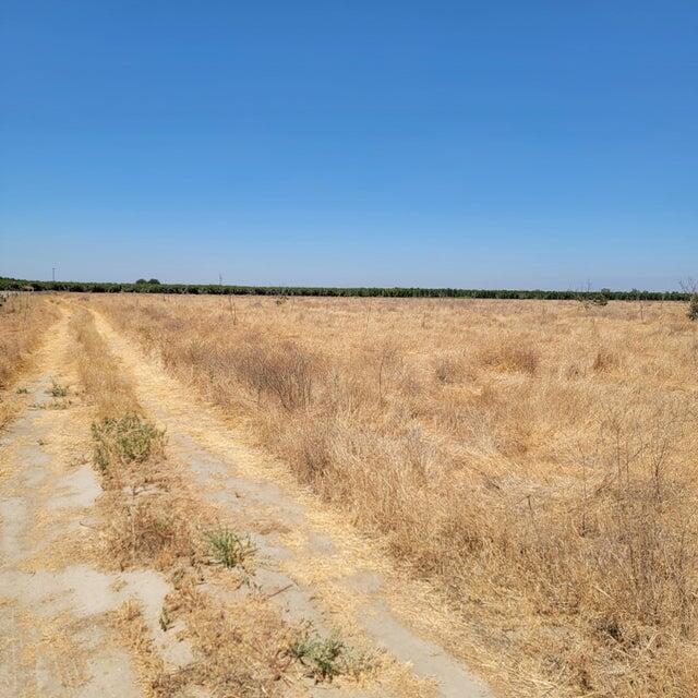 5390 Avenue 308, Visalia, CA 93291