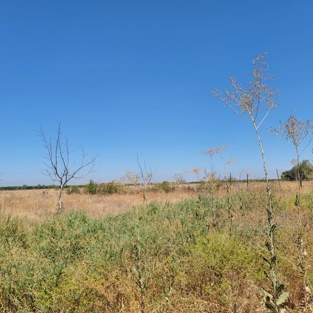 5390 Avenue 308, Visalia, CA 93291