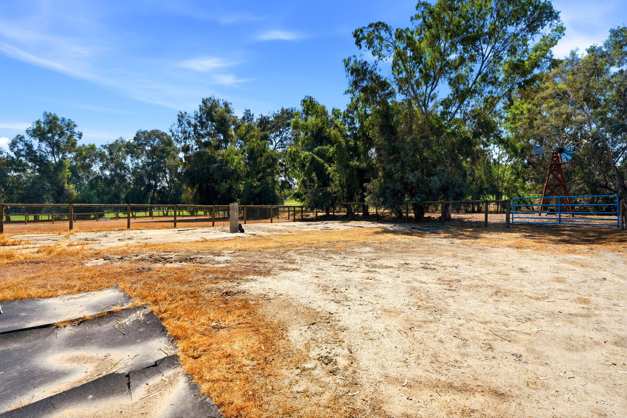 31153 Palm Dr, Exeter, CA 93221