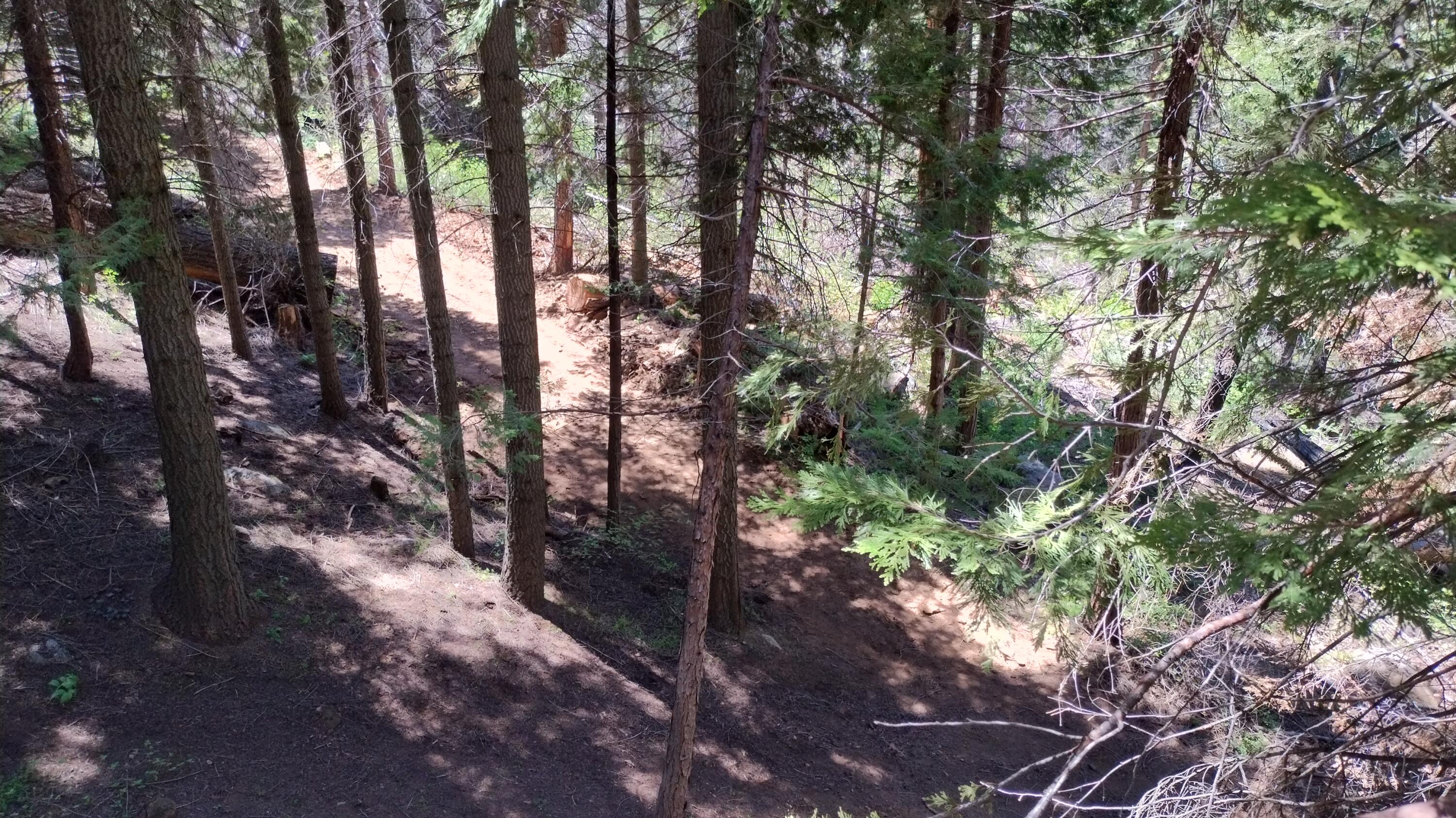 54706 Cedar Dr, Sequoia Crest, CA 93265