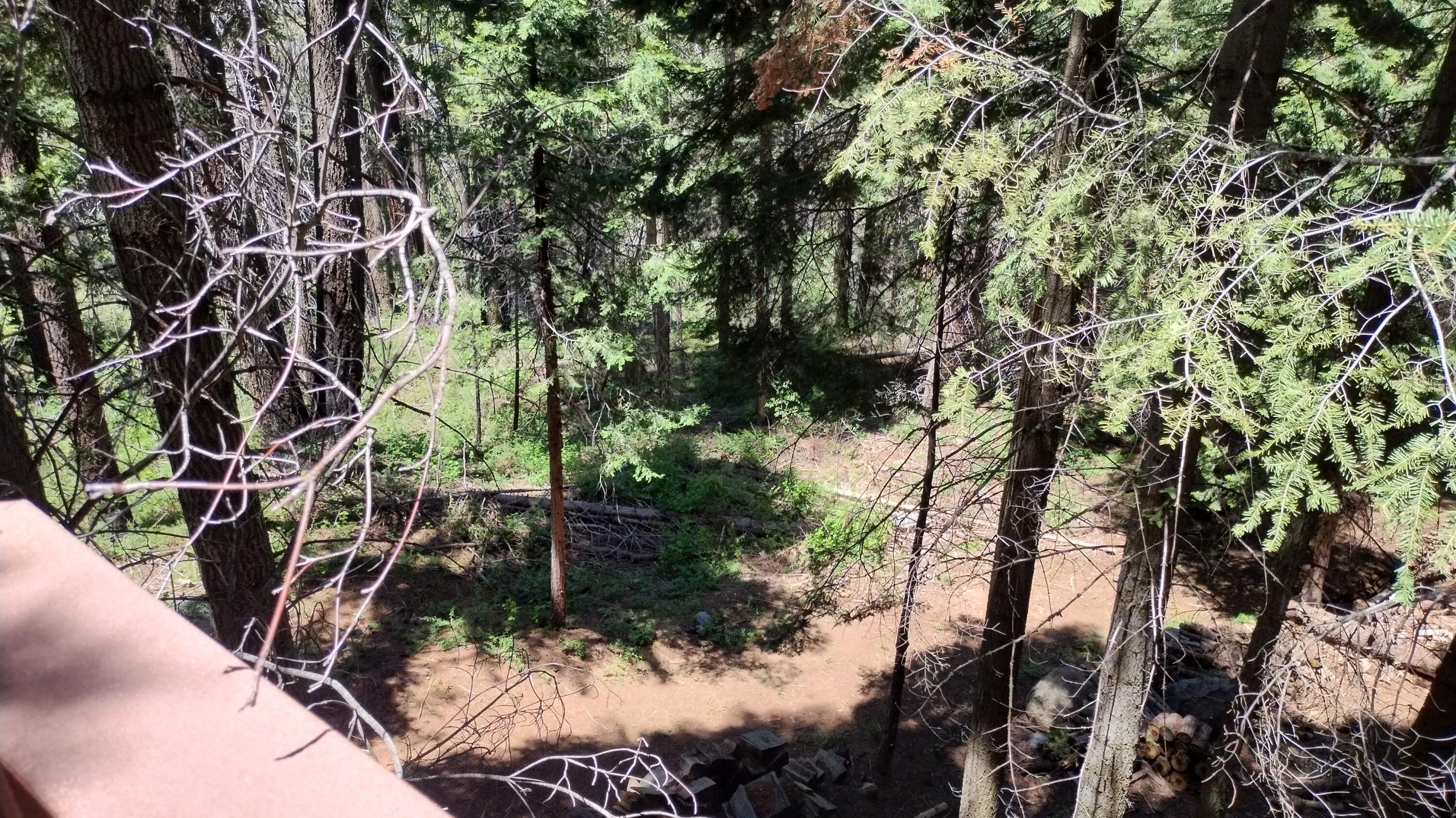 54706 Cedar Dr, Sequoia Crest, CA 93265