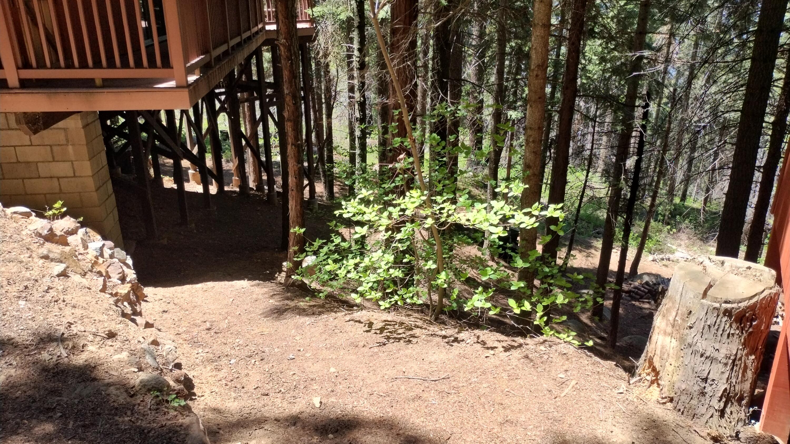 54706 Cedar Dr, Sequoia Crest, CA 93265